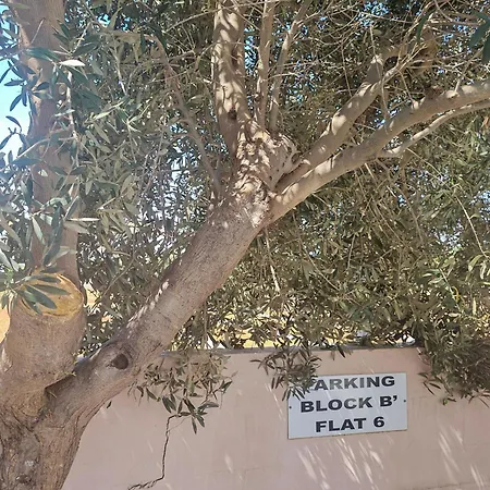 Kapparis Lejlighed Paralimni